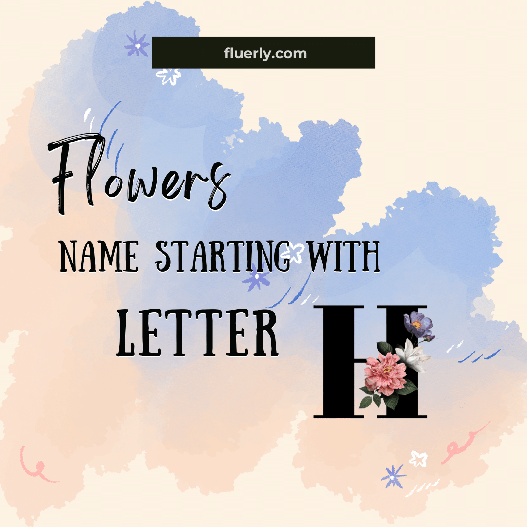 Flower Names That Start With X - Your X-Max With Flowers