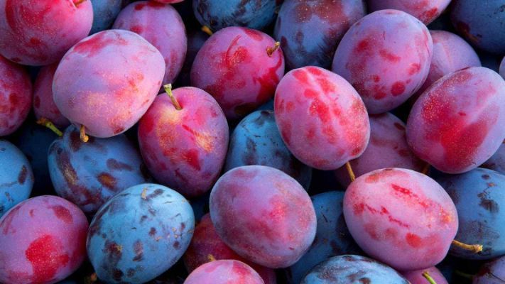 How to Identify Plums