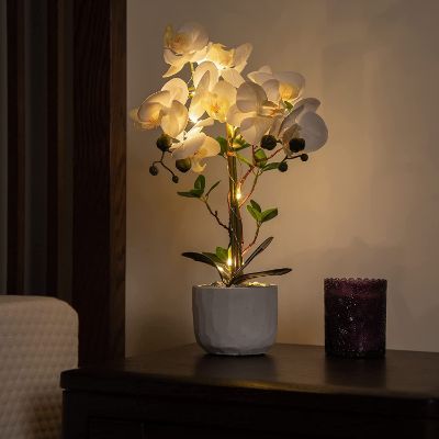 Lighted Orchid Pot
