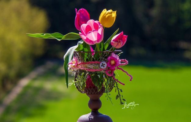 Tulips Basket For Garden