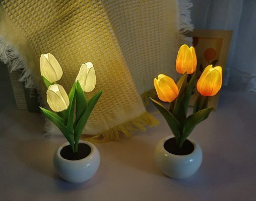 Tulips Lamps