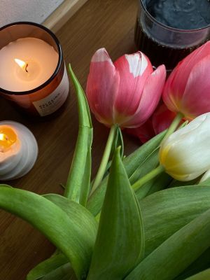 Tulips Scented Candles
