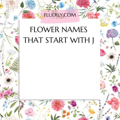 Flower Names That Start With J - Just With Jovial Flowers