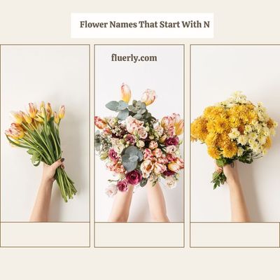 Flower Names That Start With N - Nesting Your Flower At Home