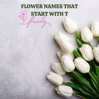 Flower Names That Start With T - These Are Incredible Flower