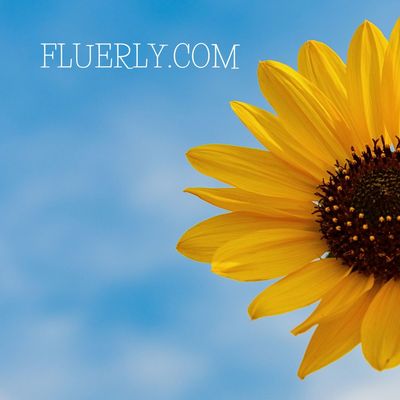 How Often To Water A Sunflower? - Ultimate Guide For You