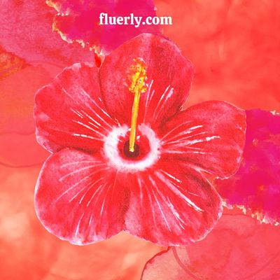 Types of Hibiscus – Floral Facts for a Layman