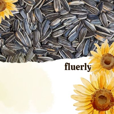 Why Are My Sunflower Seeds White? – Let’s Explore