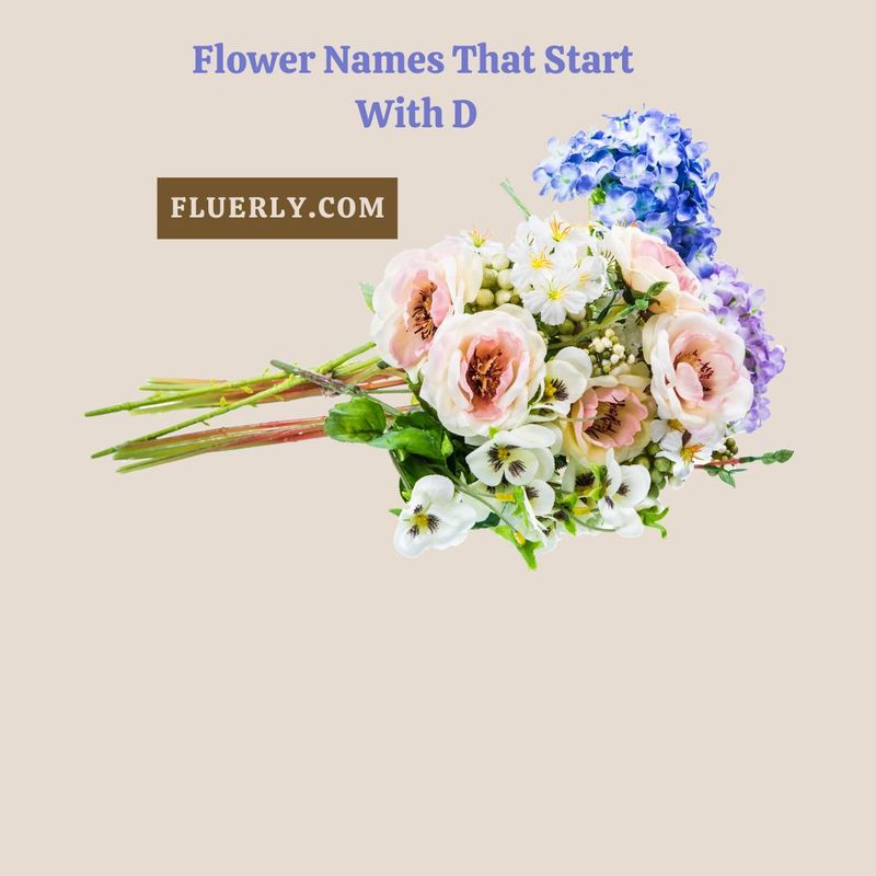 Flower Names That Start With D