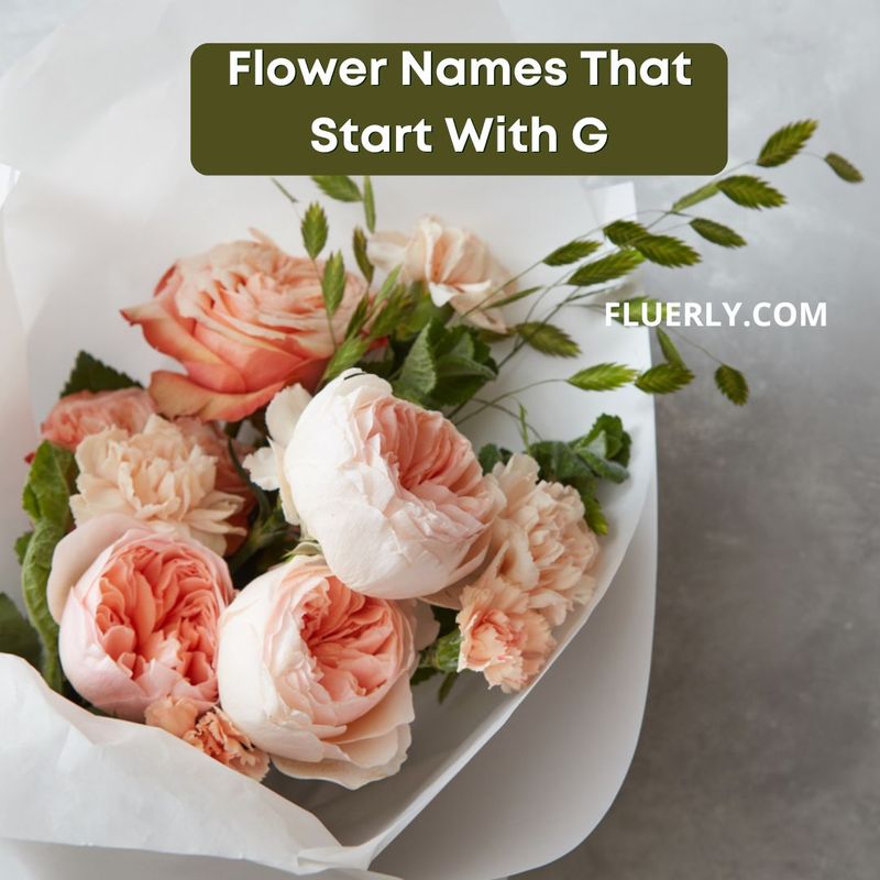 Flower Names That Start With G
