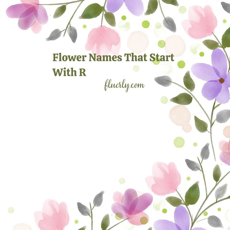 Flower Names That Start With R